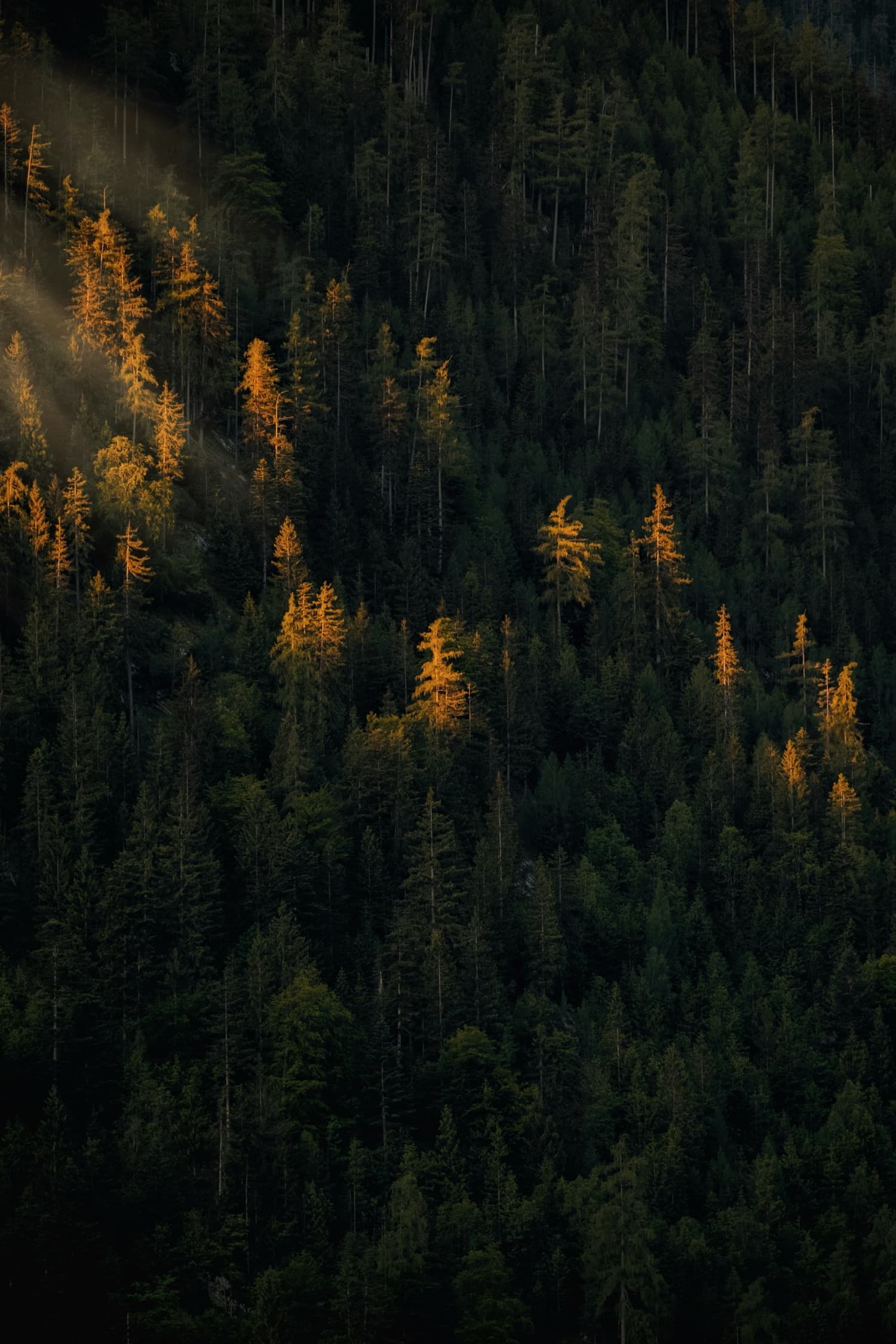 히어로 슬라이드 3